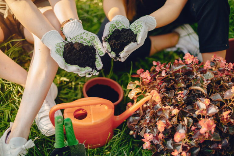 Close-up of two people wearing gloves, handling dark soil and young plants during a session of Horticultural Therapy