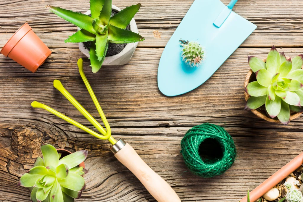 Horticultural Therapy Programs: Careers & Future Growth