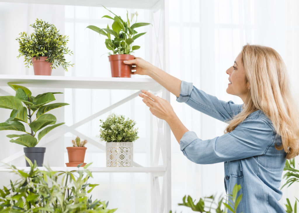 A woman is rearranging indoor plant vases