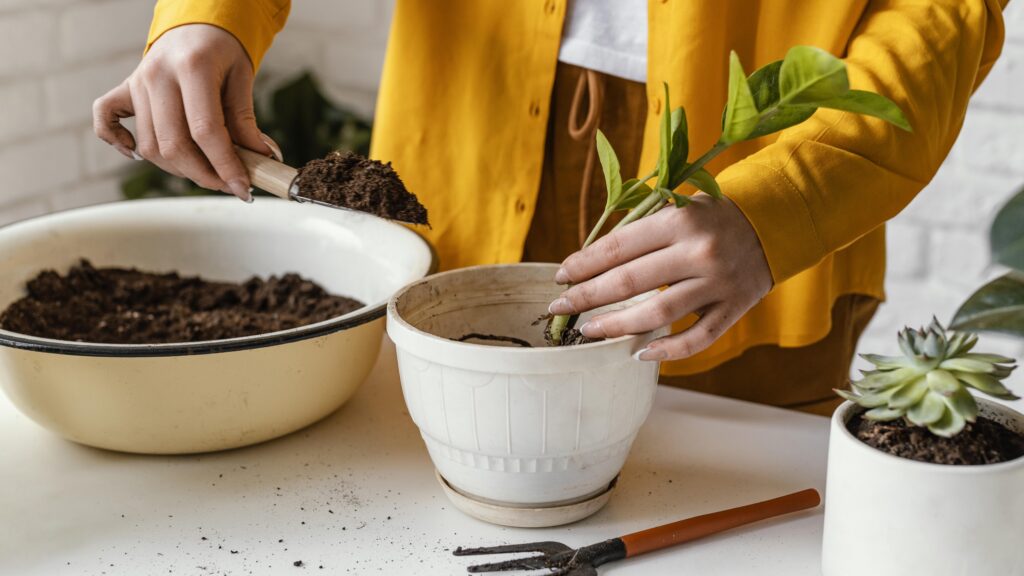 garden therapy -a young woman plants a plant in a vase for her horticultural therapy