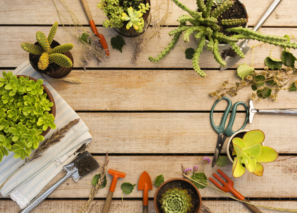 gardening tools for garden therapy